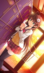 hentai on moregirls (4156)